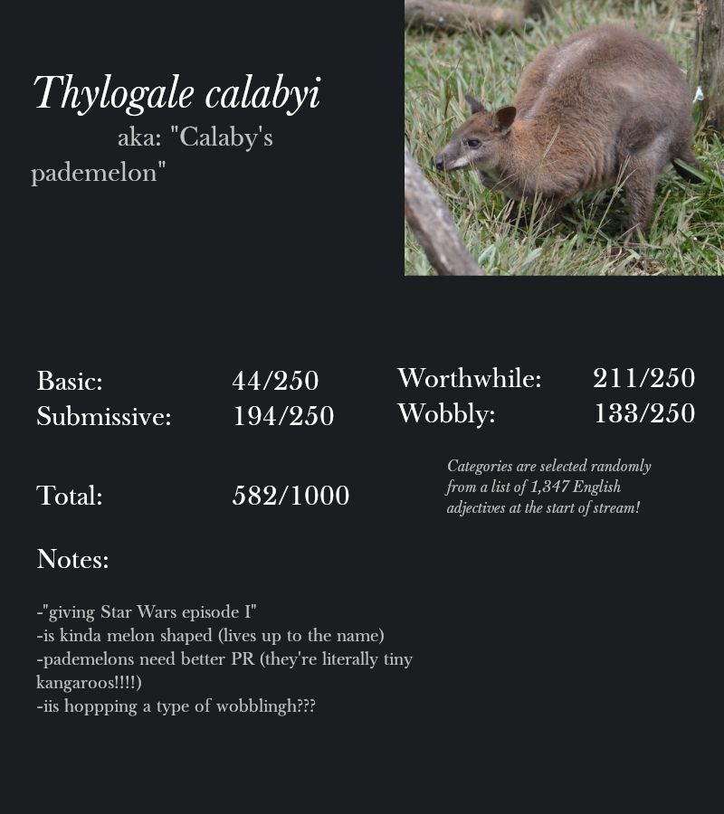 Thylogale calabyi